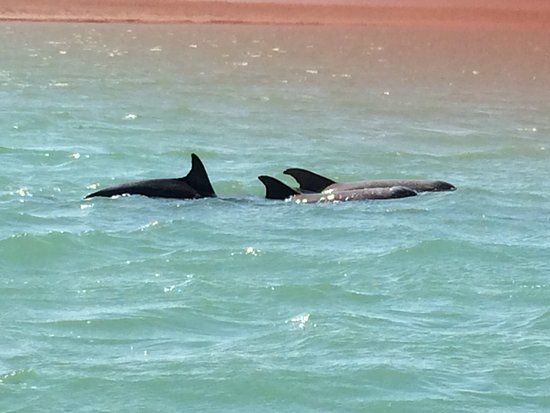 Sea Life Center Marine Touch Tanks